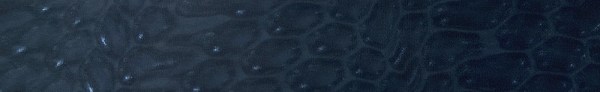 Color bar image_DarkGreen